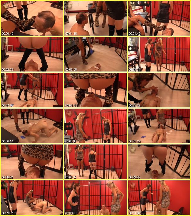 FEMDOMSHITvz186.mp4.9, 